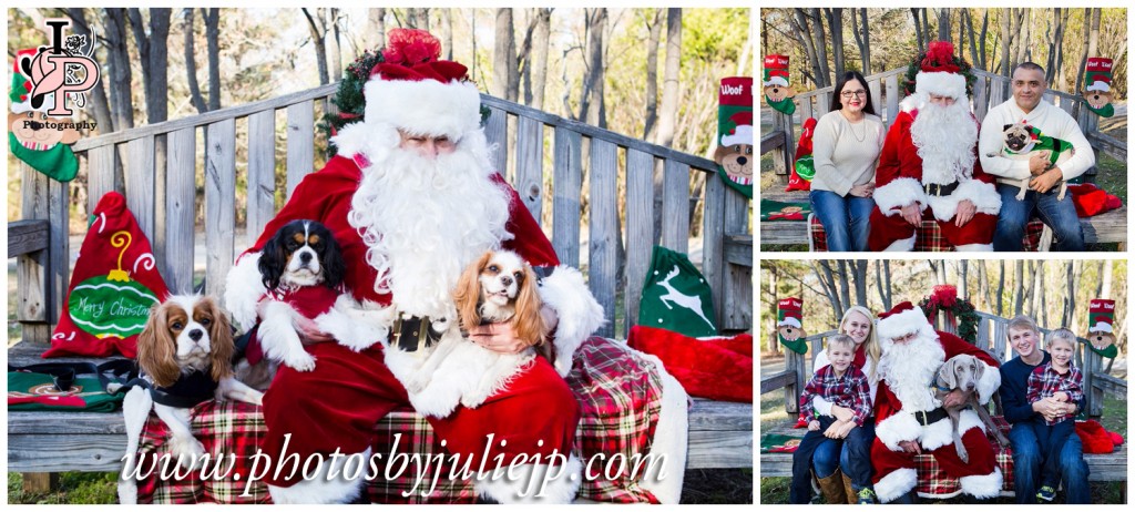 Santa Claus with Dogs and Kids