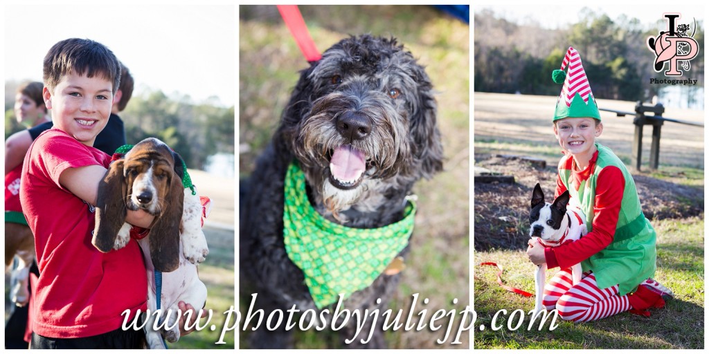 Reindogs and Elves Pets and Kids