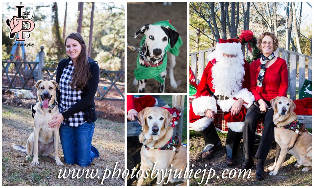 Reindogs and Elves Pets and Kids